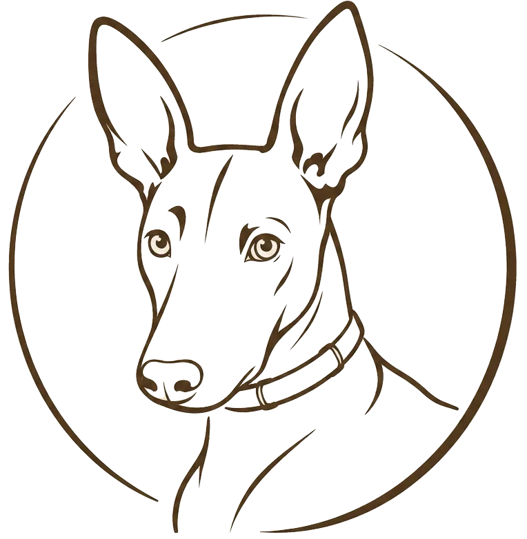 Tienda de Mascotas Online